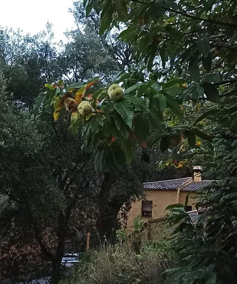 Casas Rurales El Viejo Castano - Valle Del Genal Pujerra 0*,  Spain